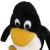 Linux Kernel