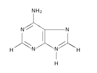 chem adenin