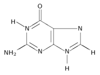 chem guanin