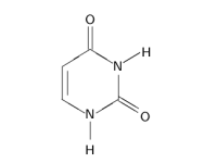 chem uracil