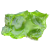 Algae