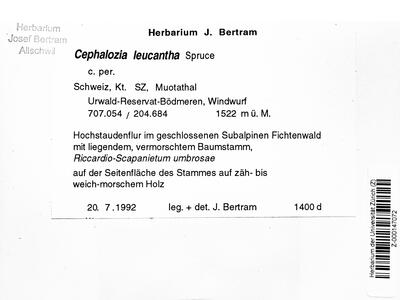 fuscocephaloziopsis leucantha 1 herbarbeleg