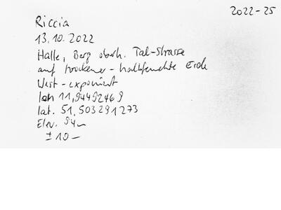 riccia ciliifera var gougetiana hal voucher specimen