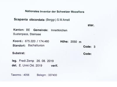 voucher scapania obcordata herbarbeleg