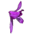 Orchidaceae