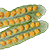 Polypodiaceae