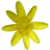 Ranunculaceae